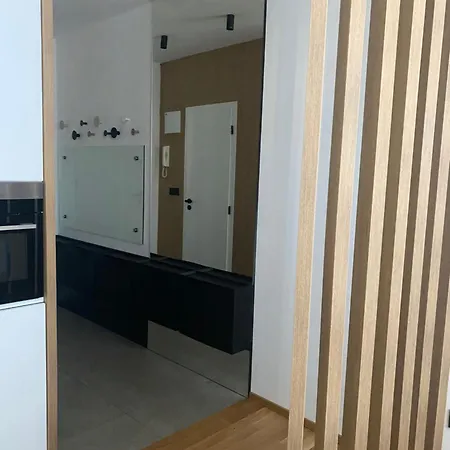 Business Apartman Eleganza Karlovy Vary