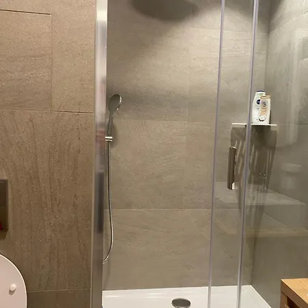 Business Apartman Eleganza * Karlovy Vary